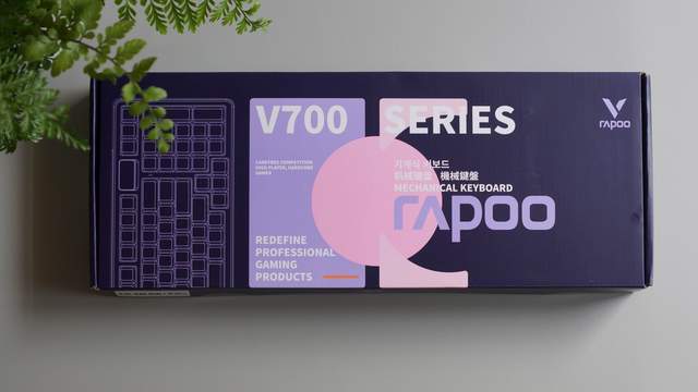 700 DIY-98键盘不后悔开元棋牌这么劲、那么美选雷柏V(图28)